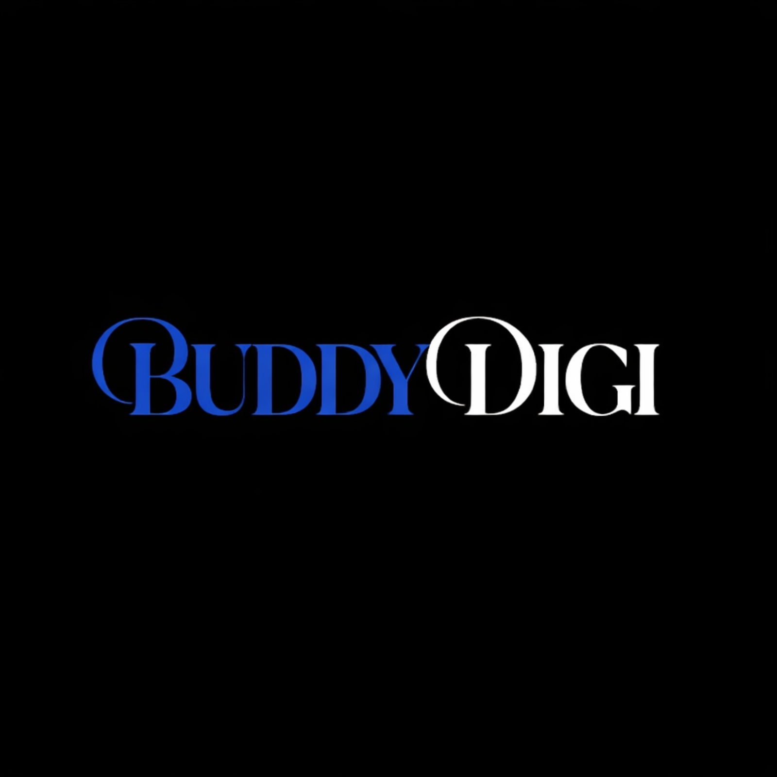 BuddyDigi